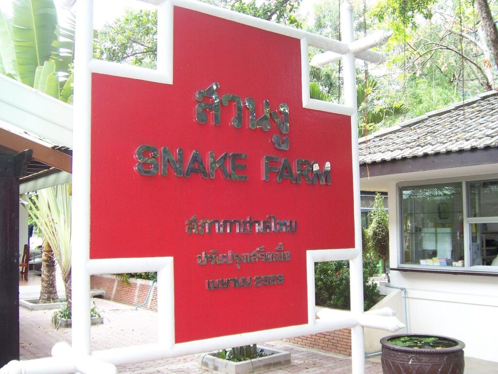 Snake Farming: The Surprising Source of Most Venom