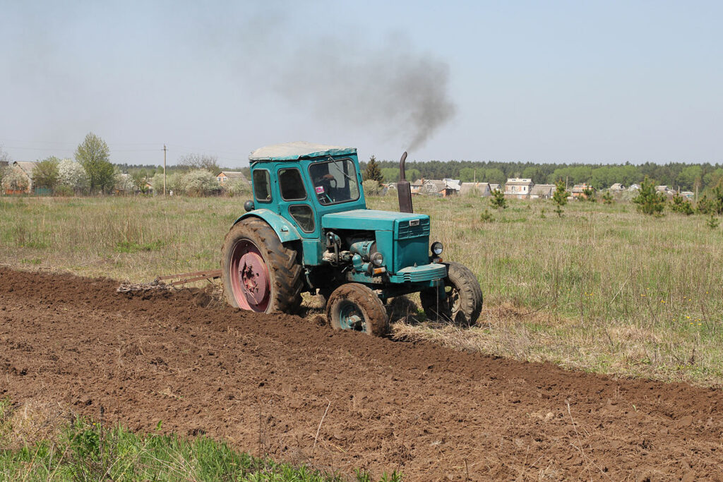Conservation Challenges: Declining Reptiles in Agricultural Landscapes