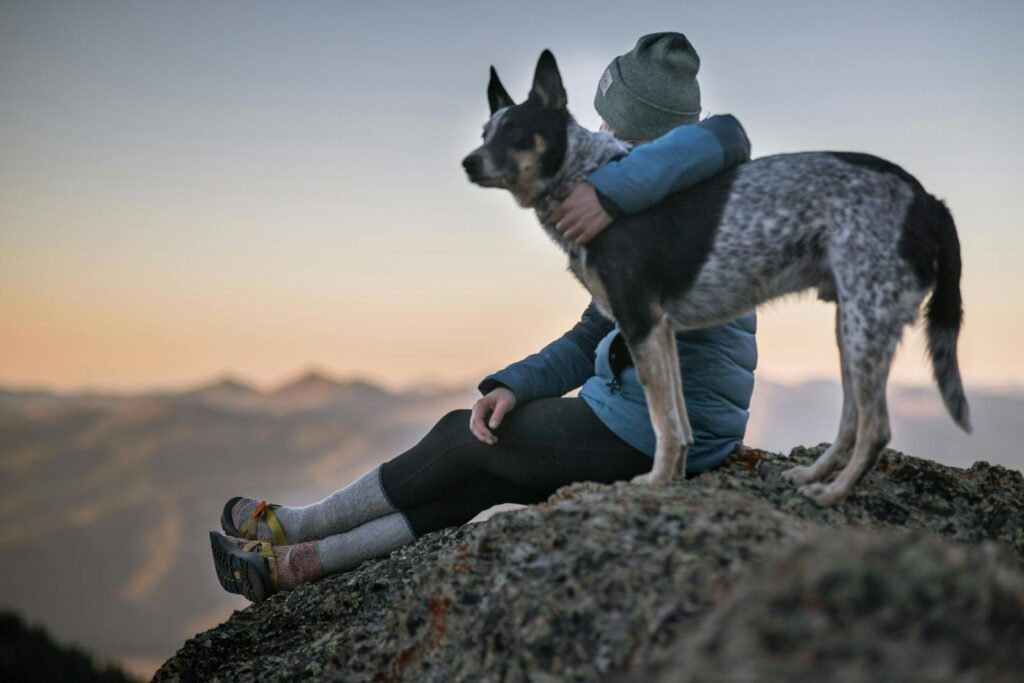 Choosing Pet Species Responsibly