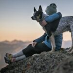 Choosing Pet Species Responsibly