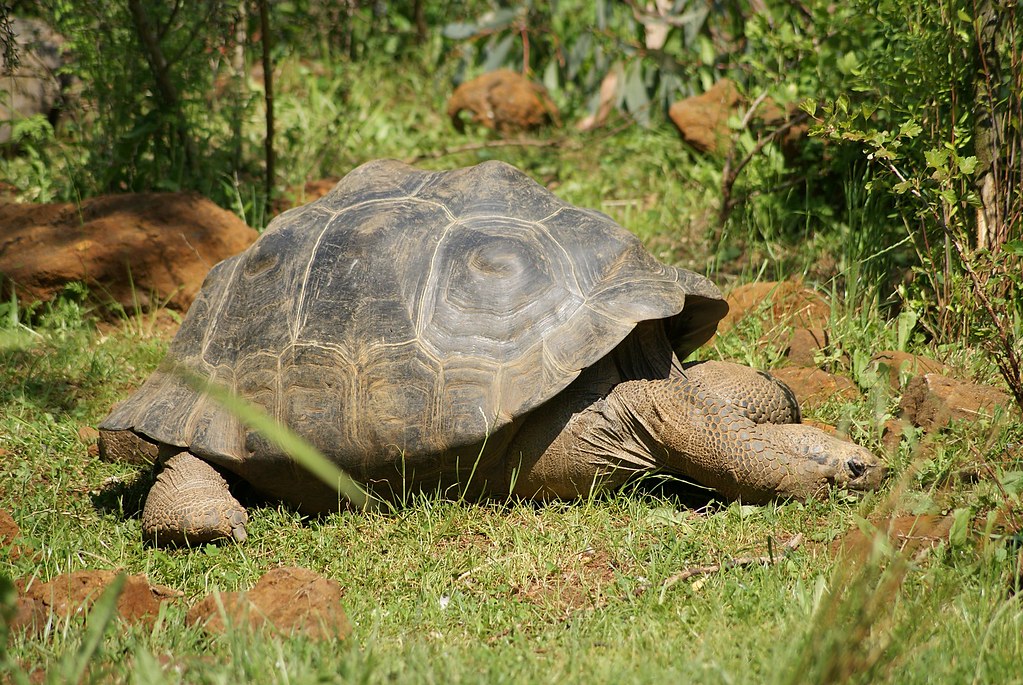 Choosing Appropriate Hibernation Substrate