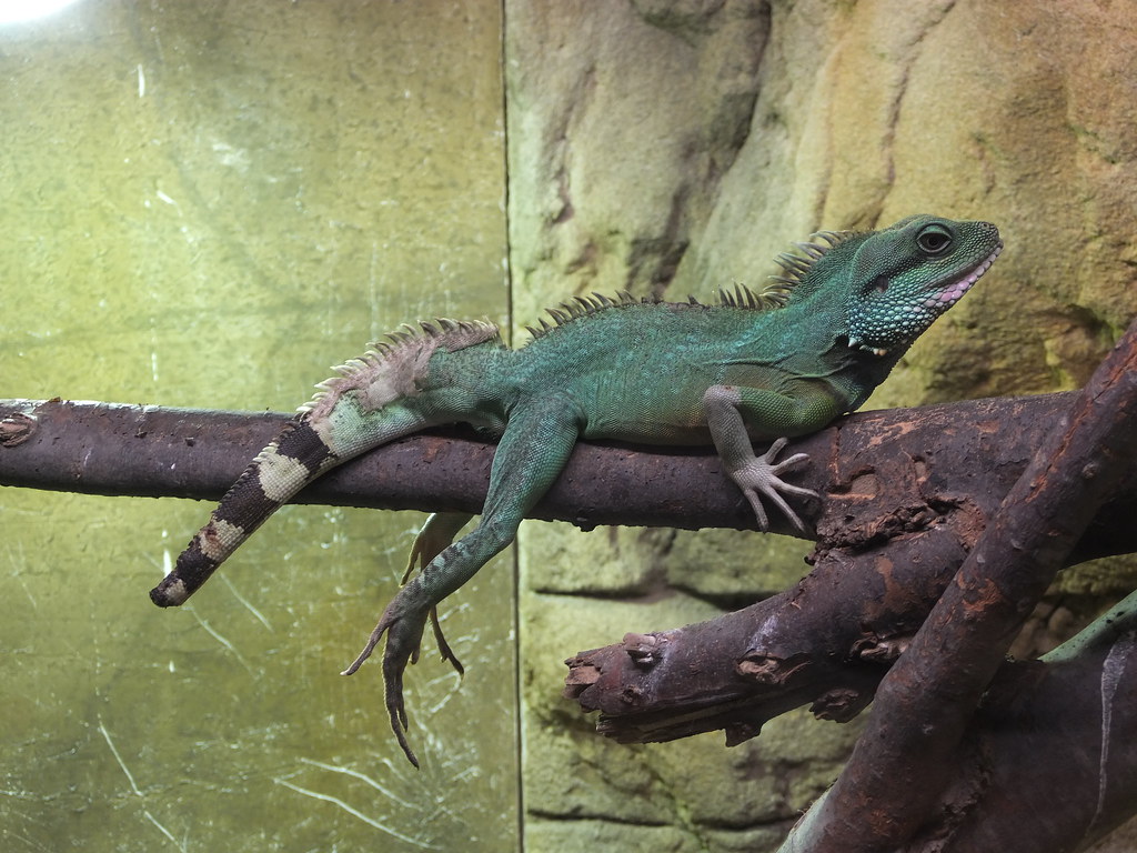 Creating the Perfect Habitat