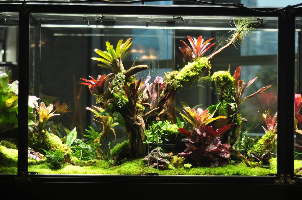 Creating Enriching Environments