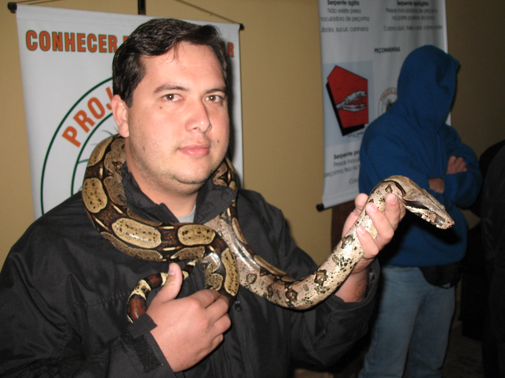 Understanding Legal Requirements for Reptile Transport