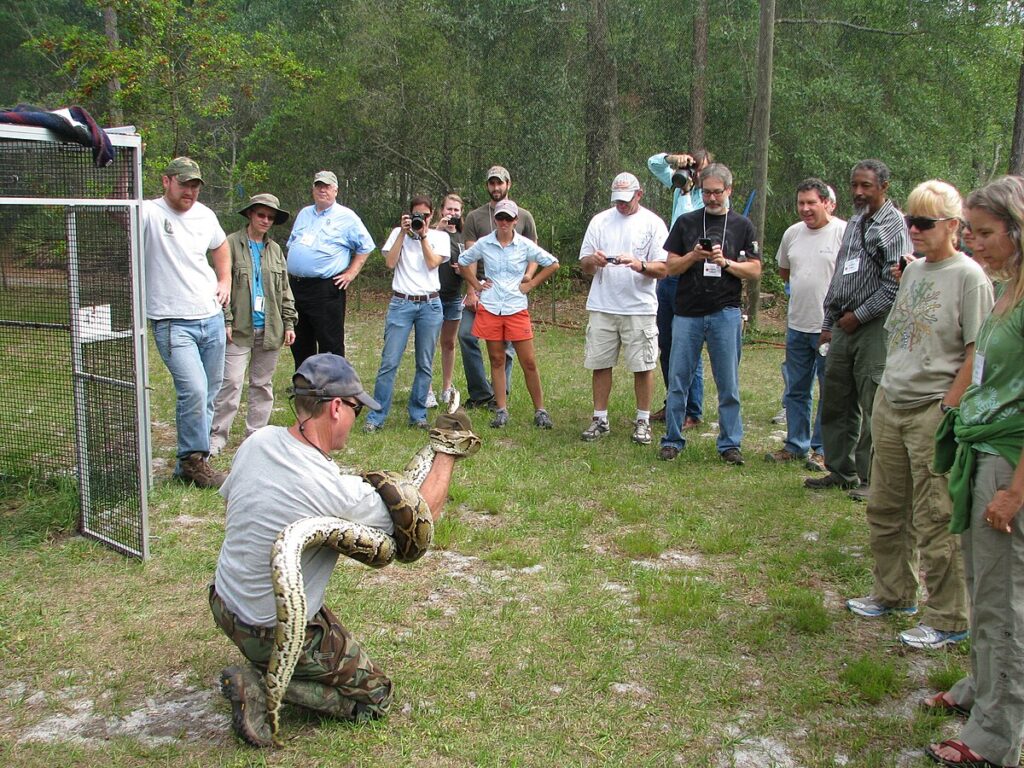 Conservation Paradox: Protecting Dangerous Species