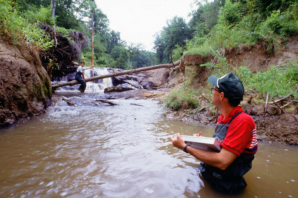 Reptiles as Indicators of Environmental Health