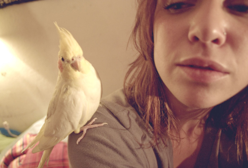 Gender Preferences in Birds