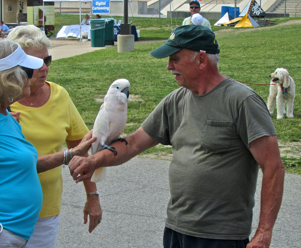 Previous Experiences and Bird Memory