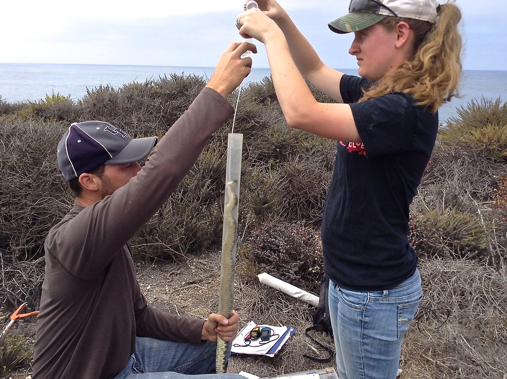 Field Research Safety Protocols