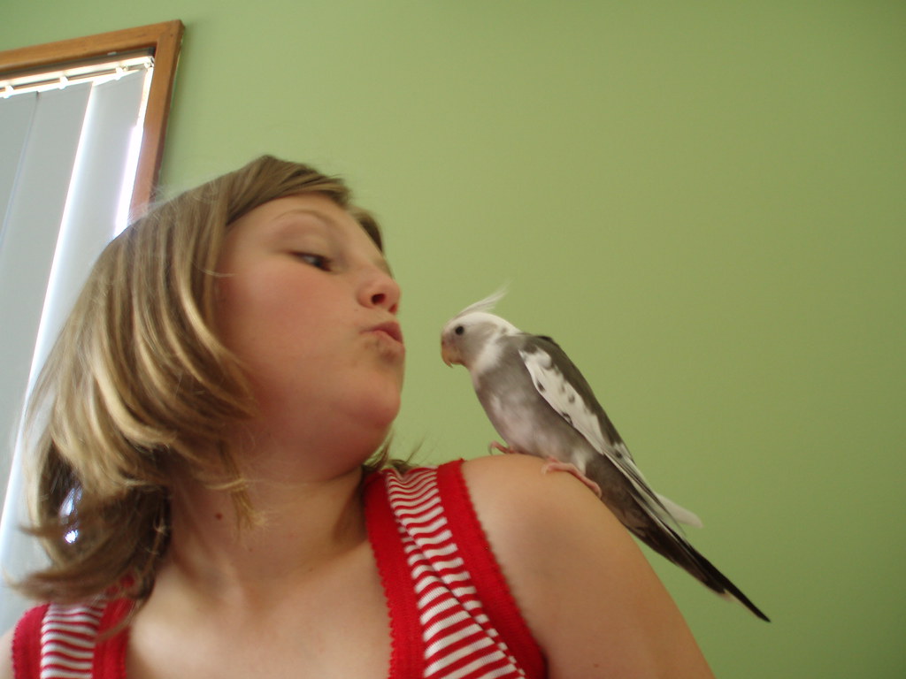 Hormonal Influences on Bird Attachment