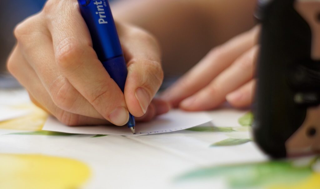 Creating a Family Lizard Care Plan
