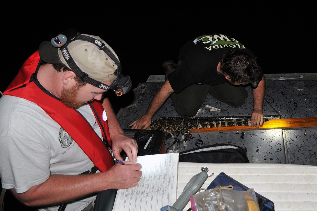 Conservation Status and Management Approaches