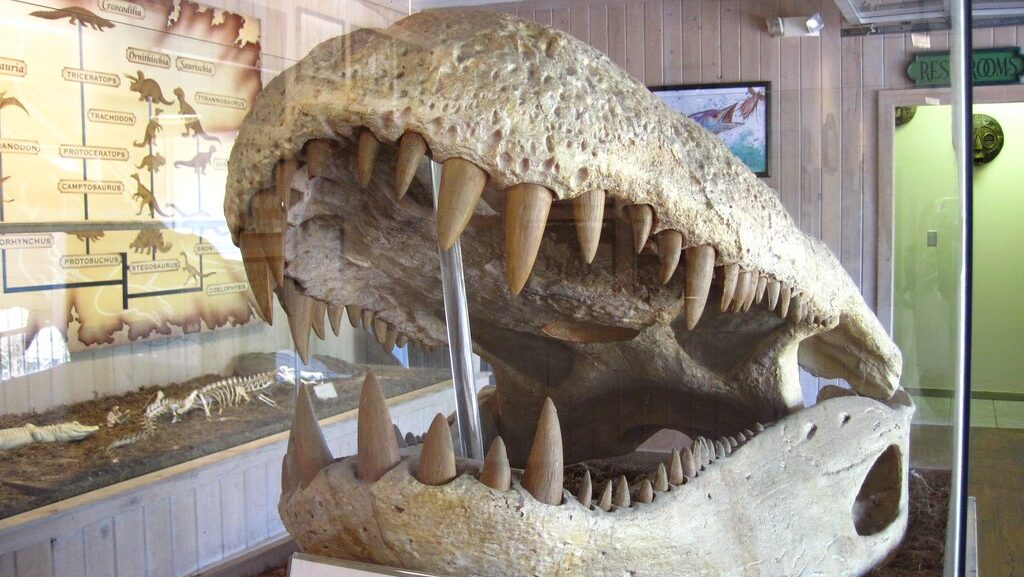 the largest predator that ever lived