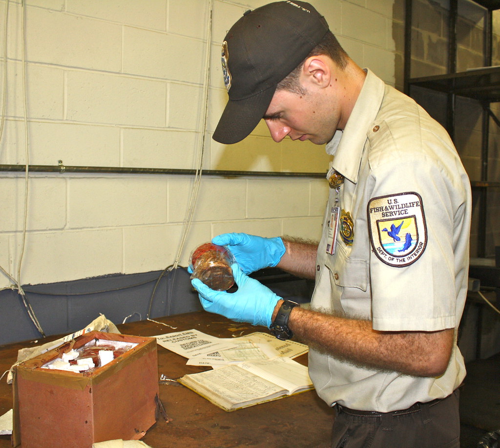 Navigating Airport Security and Customs