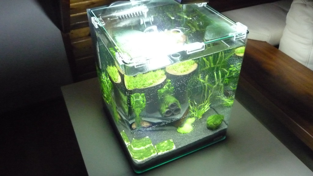 Dennerle Nano-Aquarium