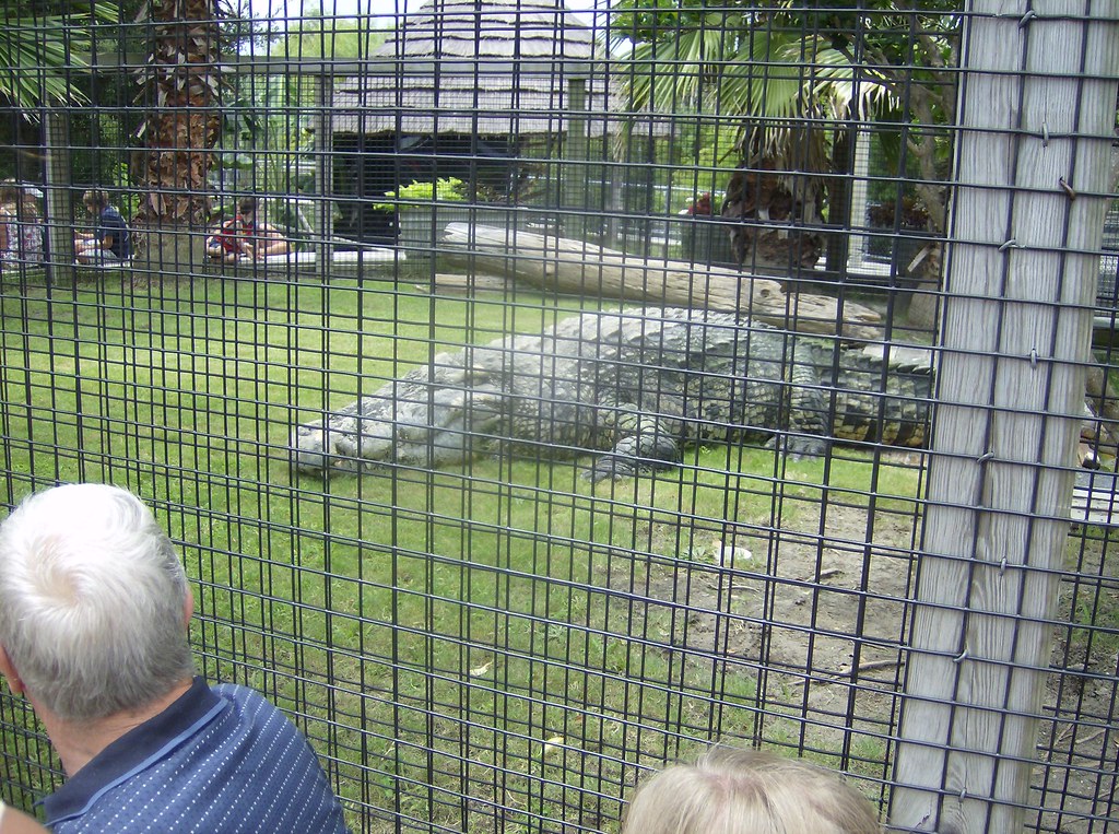 Alligator Adventure - North Myrtle Beach, South Carolina