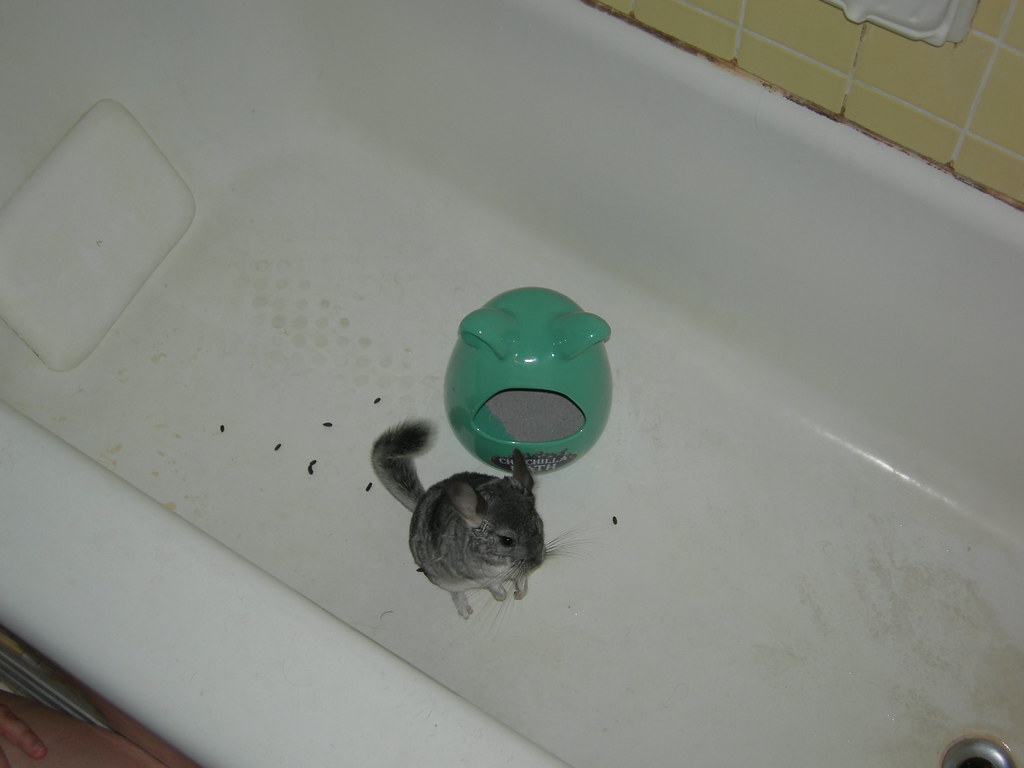 Selecting the Right Dust Bath Material
