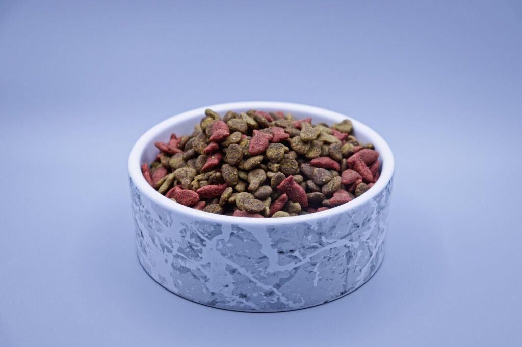 Sustainable Pet Food Choices
