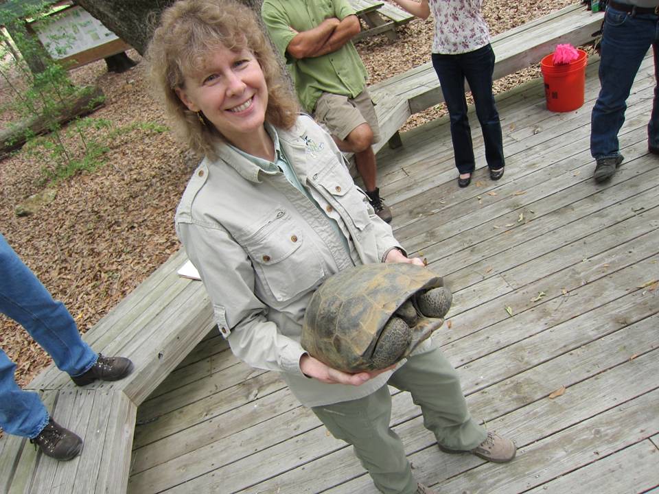 Properly Waking Turtles and Tortoises from Hibernation
