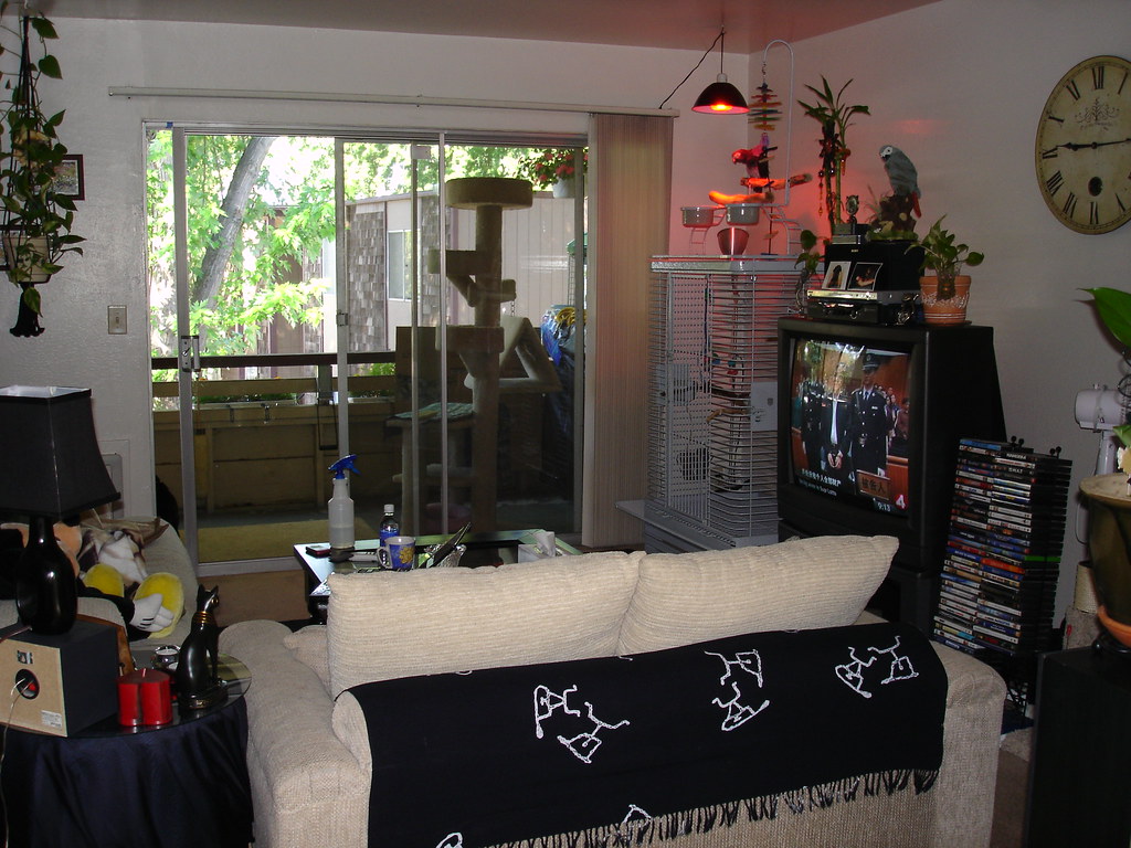 Strategic Cage Placement in Your Home