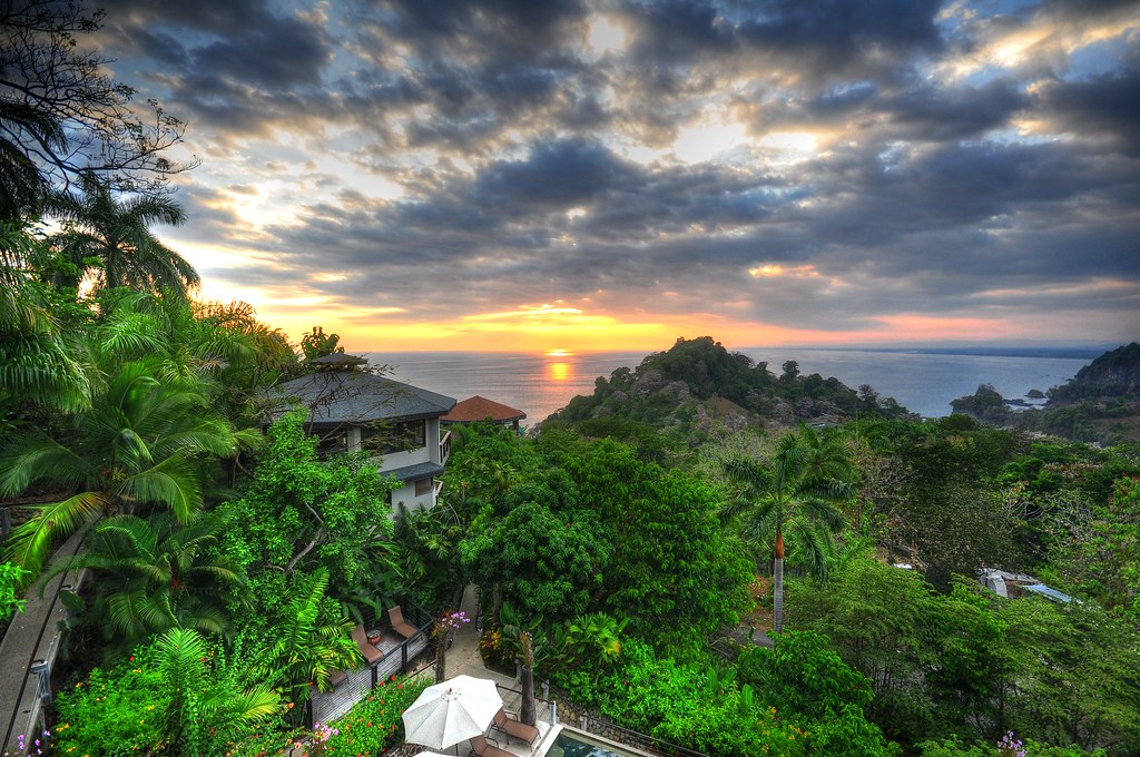 Forests for the Future: Costa Rica's Reforestation Miracle