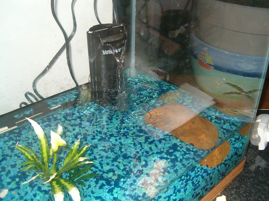 Failing to Create Proper Basking Areas
