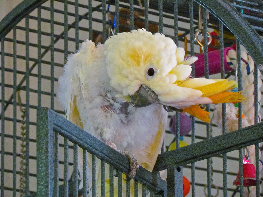 7. Safe Out-of-Cage Exploration Time