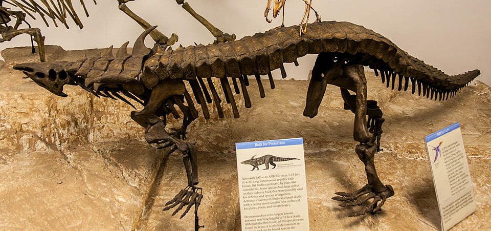 Contemporary Preservation of Reptilian Folklore
