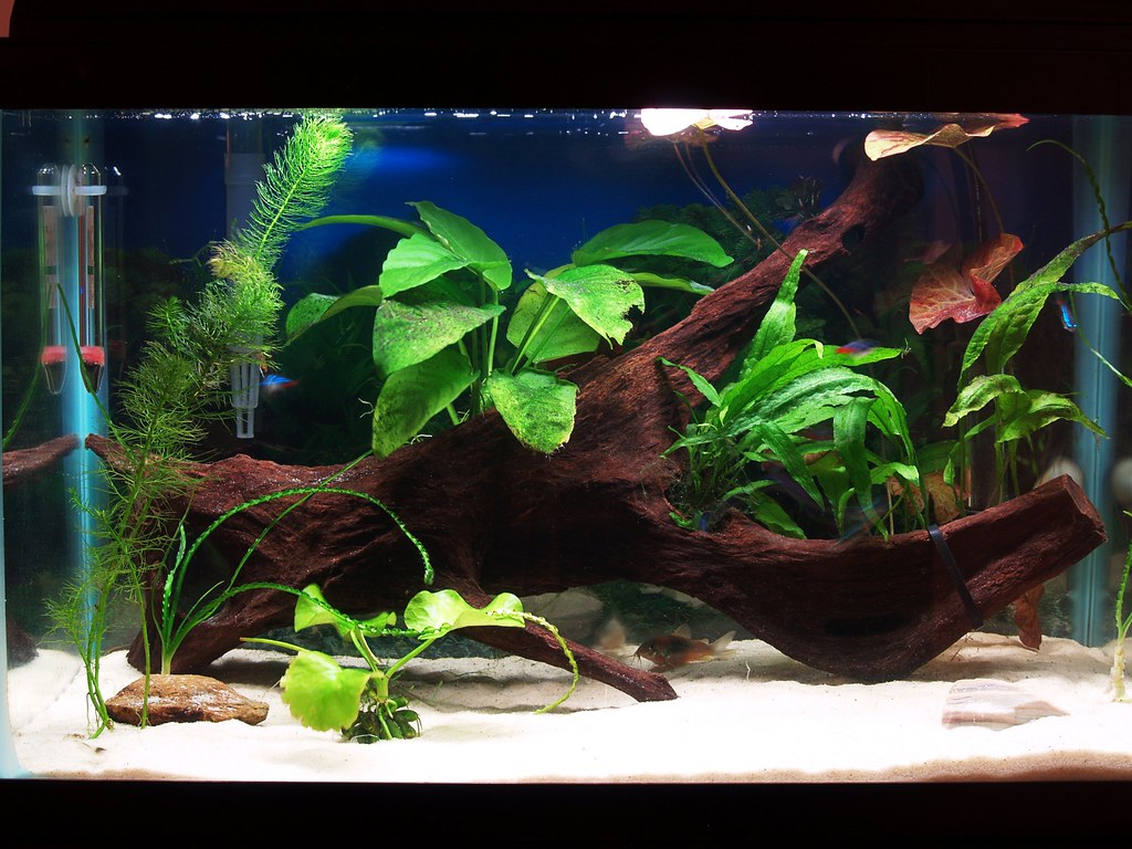 Chemical Filtration: Targeted Water Purification