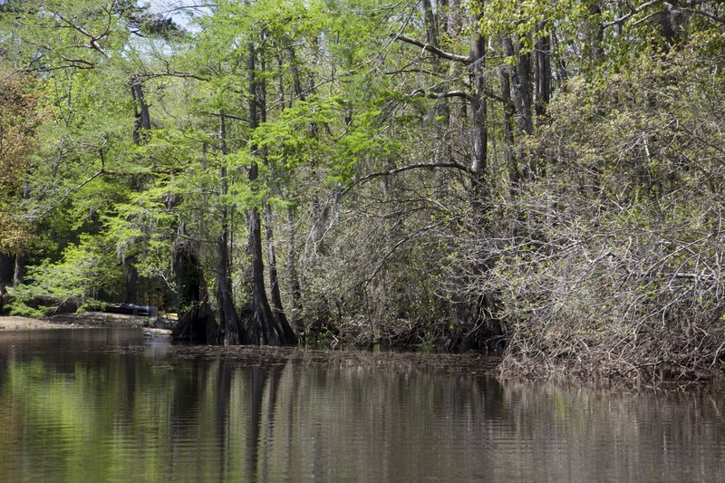 Alabama's River Basins and Deltas