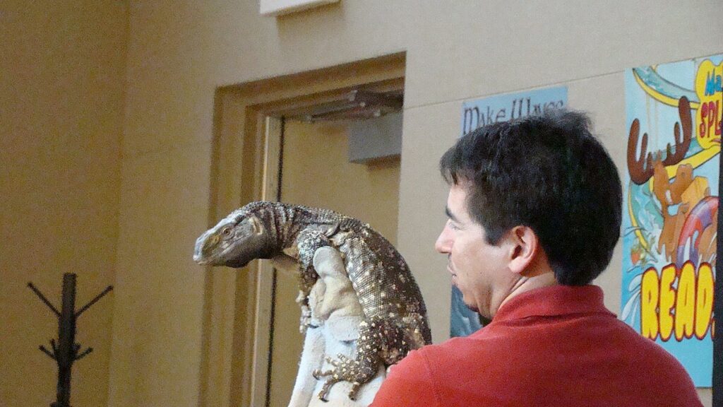 Understanding Monitor Lizard Species Diversity