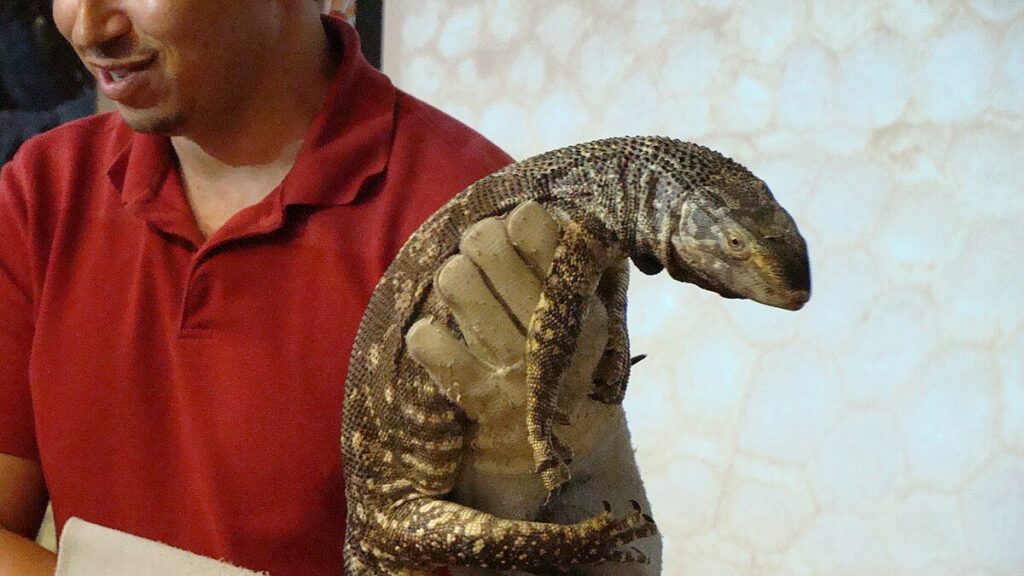 Essential Safety Equipment for Reptile Keepers
