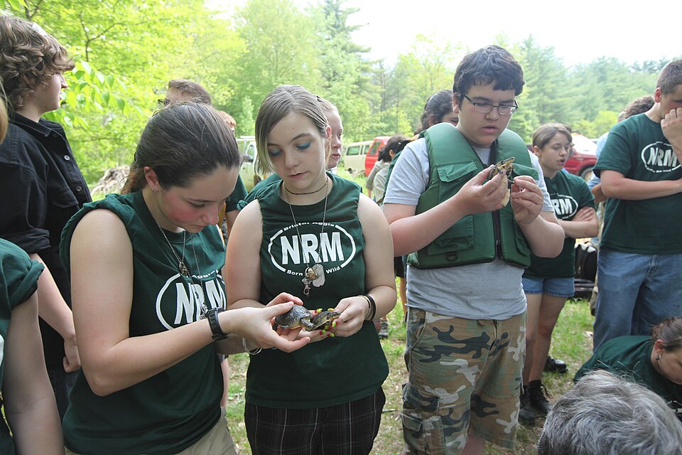Educational Value and STEM Interest