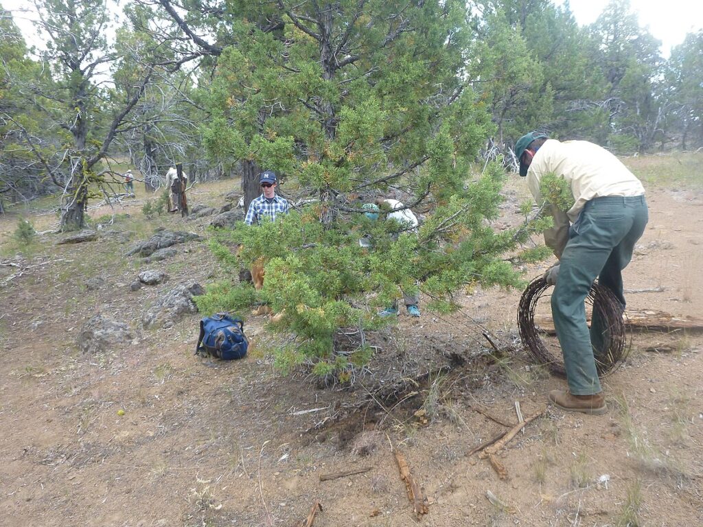 Conservation Success Stories