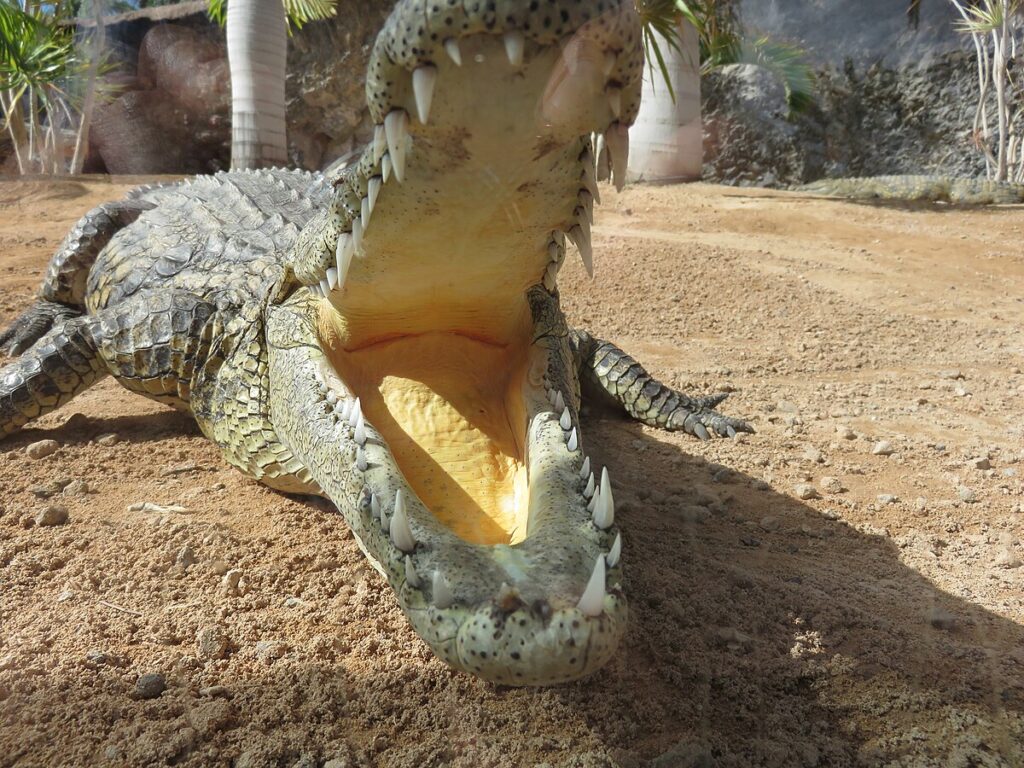 The Evolution of Reptilian Lethality
