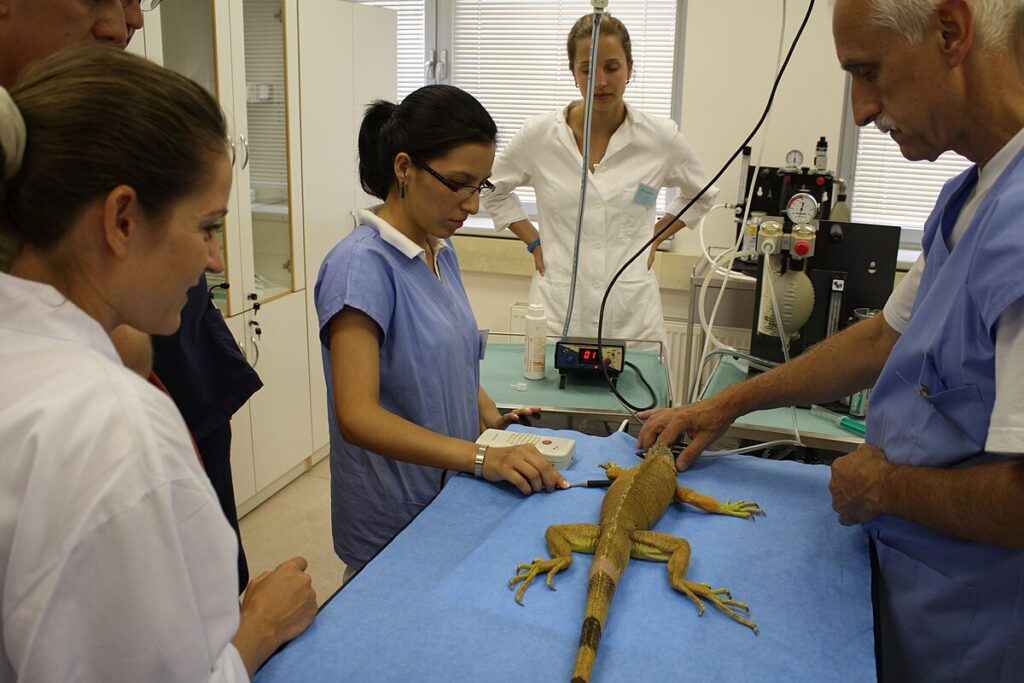The Debate Over Reptilian Consciousness