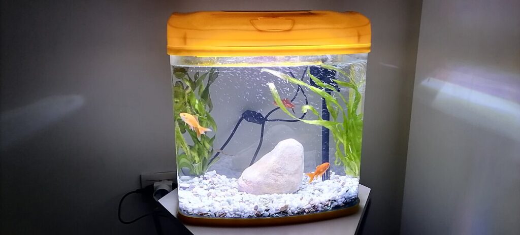Creating Optimal Small Tank Environments