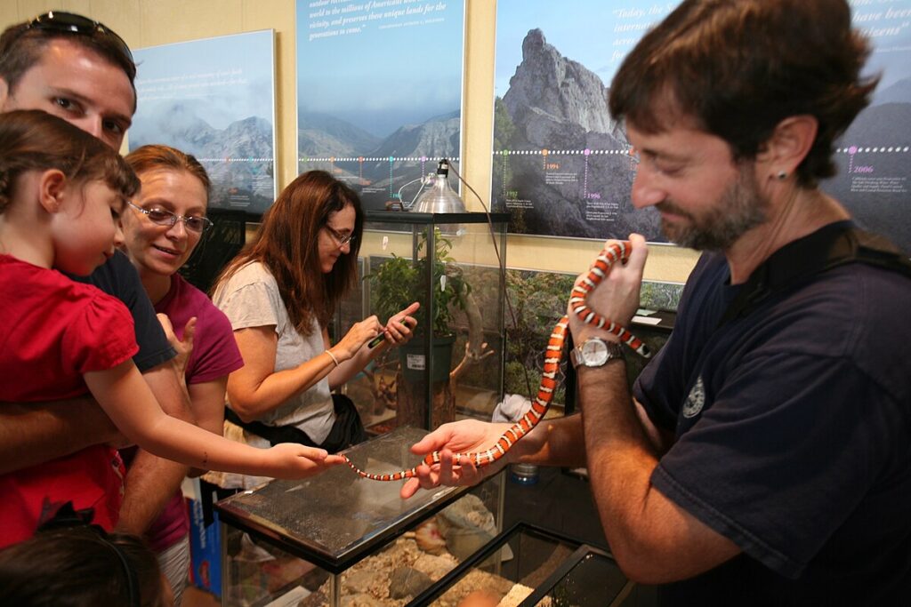 Ways to Support Reptile Sanctuaries Beyond Visiting