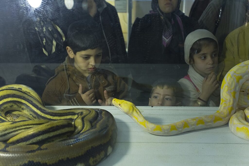 The Role of Zoos and Specialized Facilities