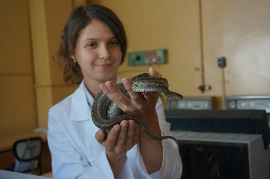 The Future of Antivenom: Innovations on the Horizon