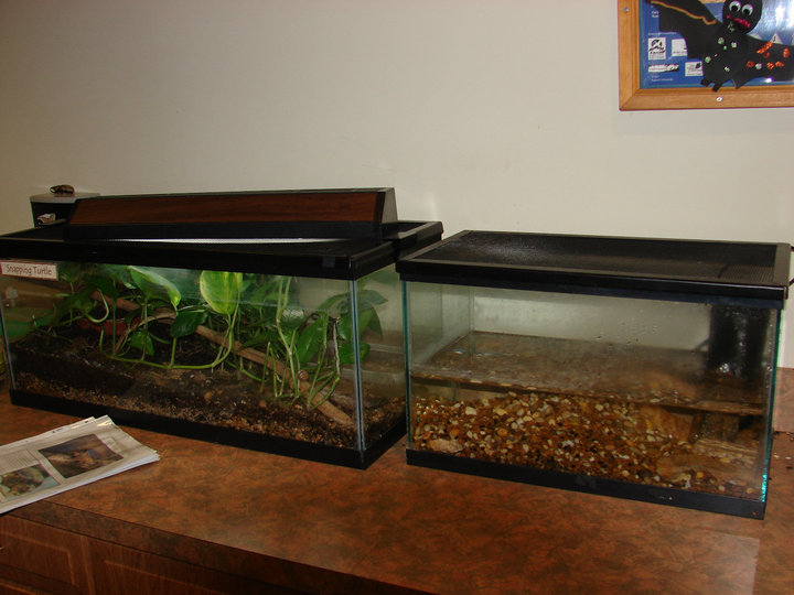 Insufficient Filtration Systems