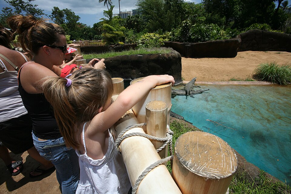 Human Impacts: The Major Threats to Gharial Survival