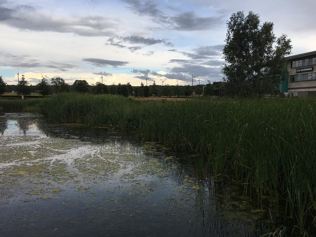 Urban Heat Islands: Stepping Stones Northward