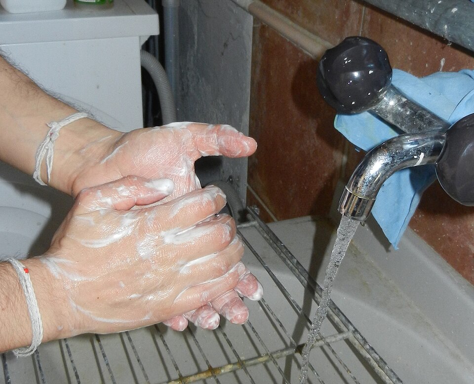 Safety Precautions for Salmonella Prevention