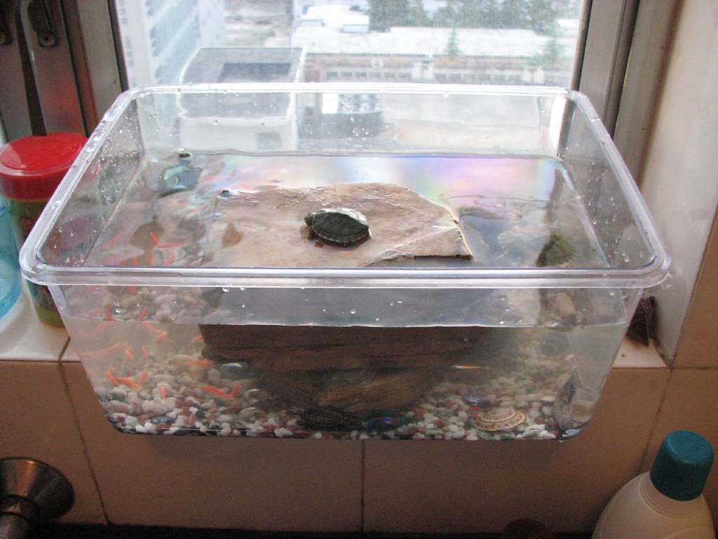 Inadequate Tank Size