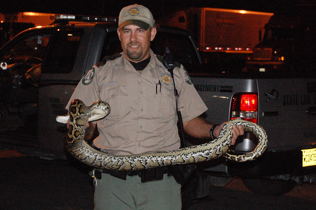 The Broader Impact of the Exotic Pet Trade