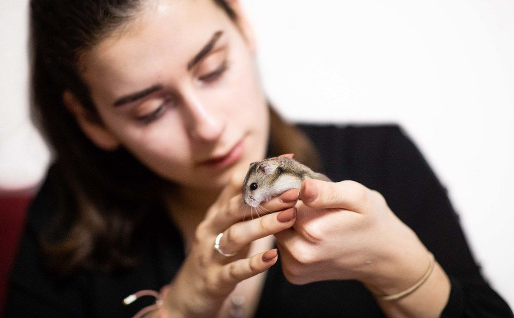 Comparing Reptile and Mammal Bonding