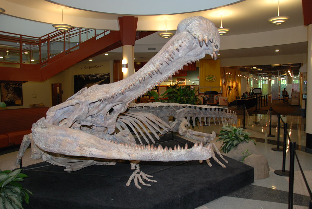 SuperCroc Chomp