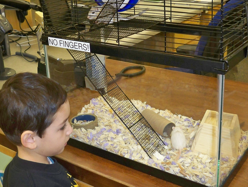 Child-Friendly Considerations