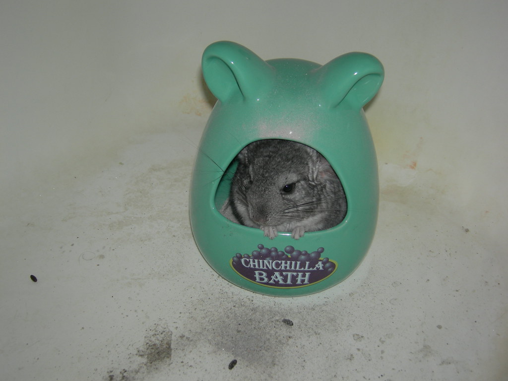 Psychological Importance of Dust Bathing
